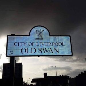 Meet your Posher, Wayne